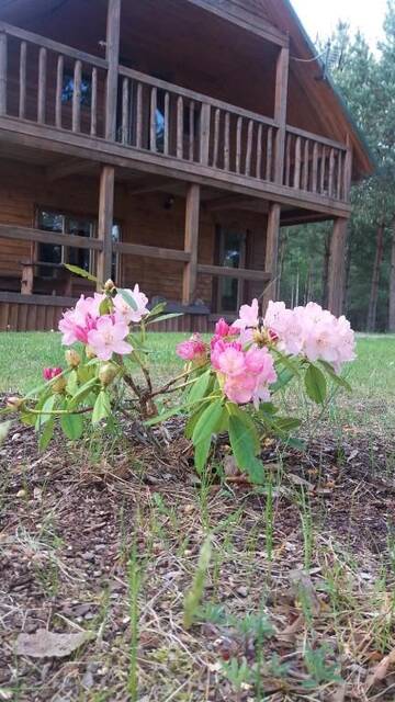 Фото номера Дом с 3 спальнями Дома для отпуска Holiday Home Atmatas г. Сабиле 51